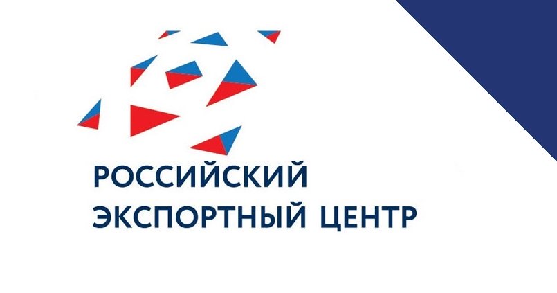 Меры поддержки российского экспортного центра для участников строительной отрасли